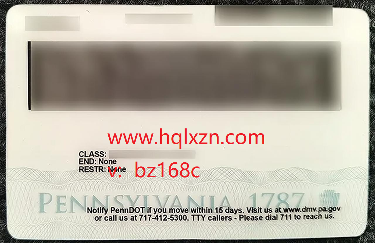 Pennsylvania-Drivers-License-Reverse-Side-jpg.jpg