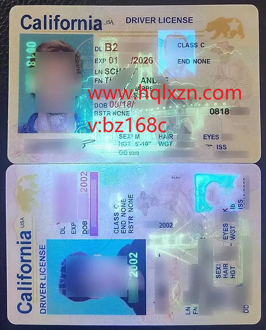 2026年如何在线快速购买美国加州驾照？ loading=