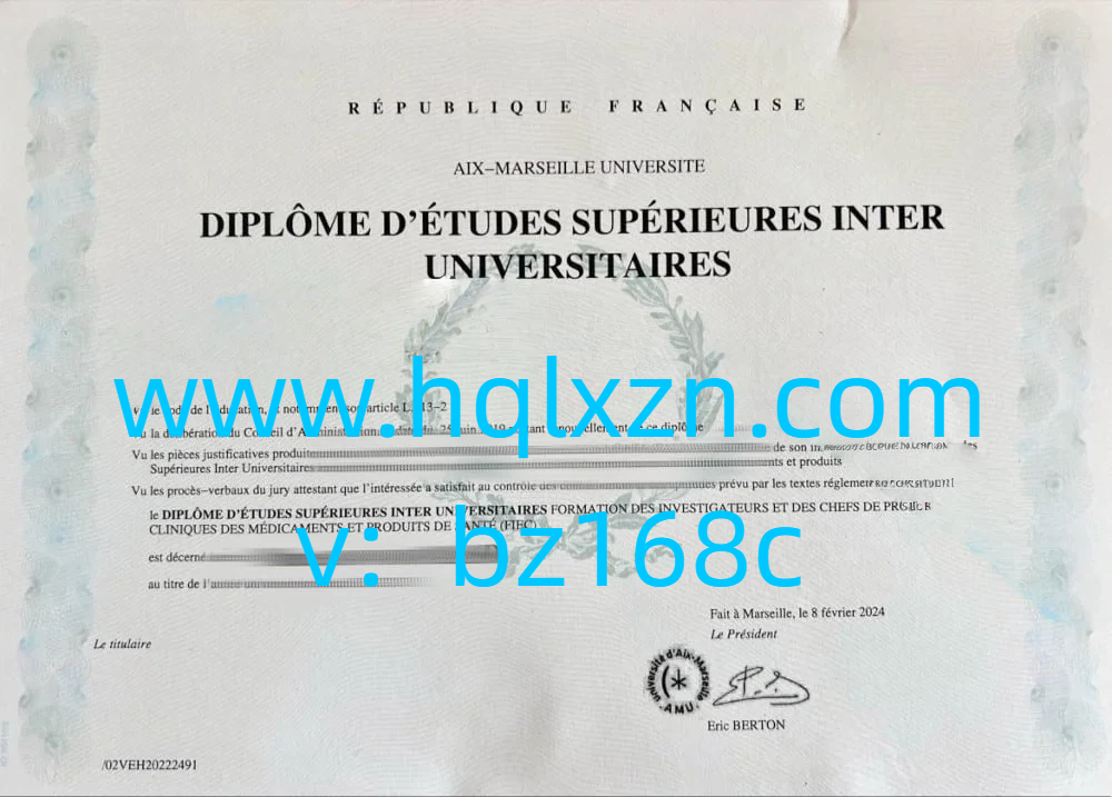 艾克斯马赛大学毕业证扫描件Aix-Marseille Université diploma loading=